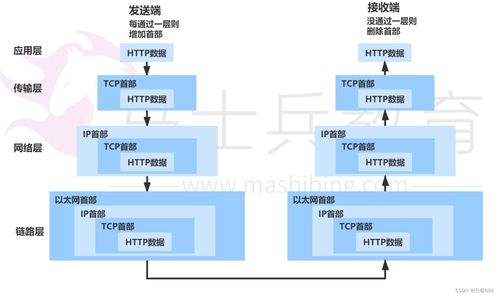計算機網絡信息管理與服務